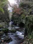 SX20884 Conwy Falls in Fairy Glen near Betws-y-Coed, Snowdonia.jpg